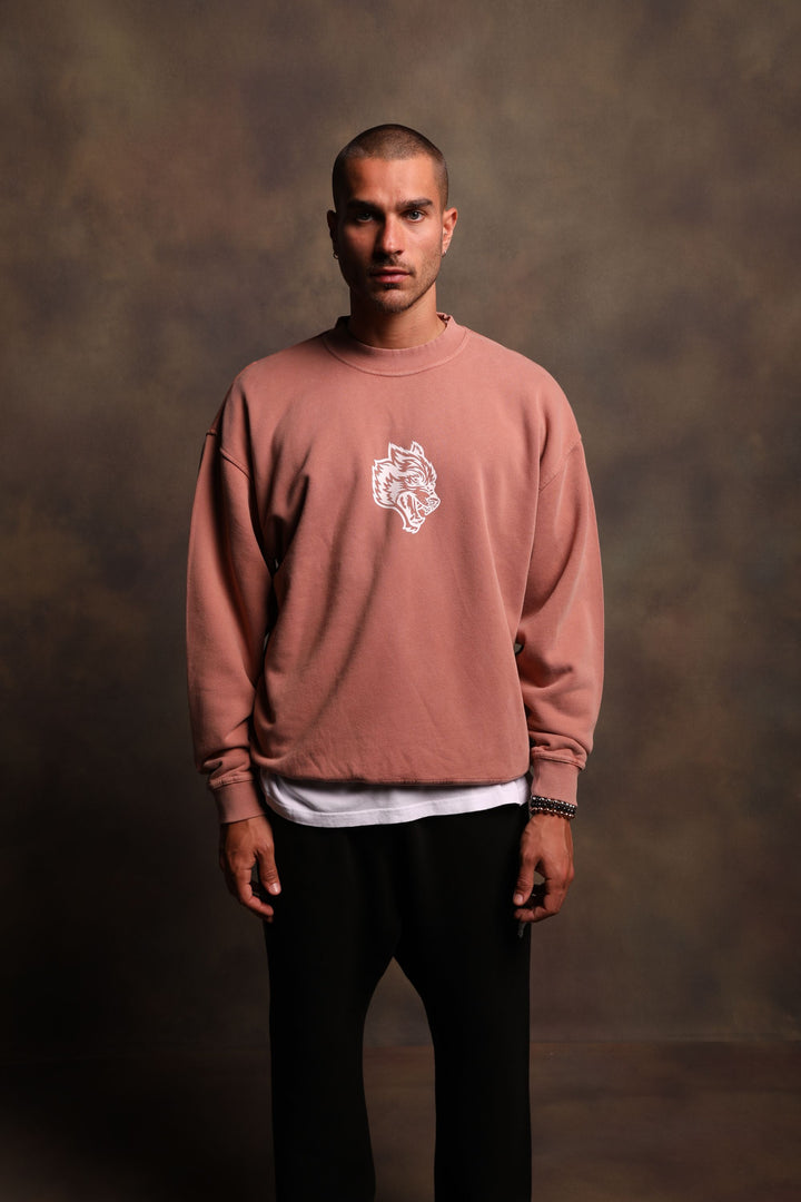 Living Cornell Crewneck in Pigment Desert Rose