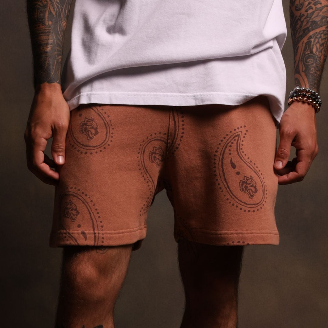 Falling Paisley Patch Liam Sweat Shorts in Desert Rose