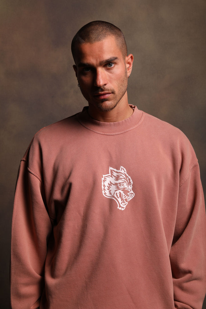 Living Cornell Crewneck in Pigment Desert Rose