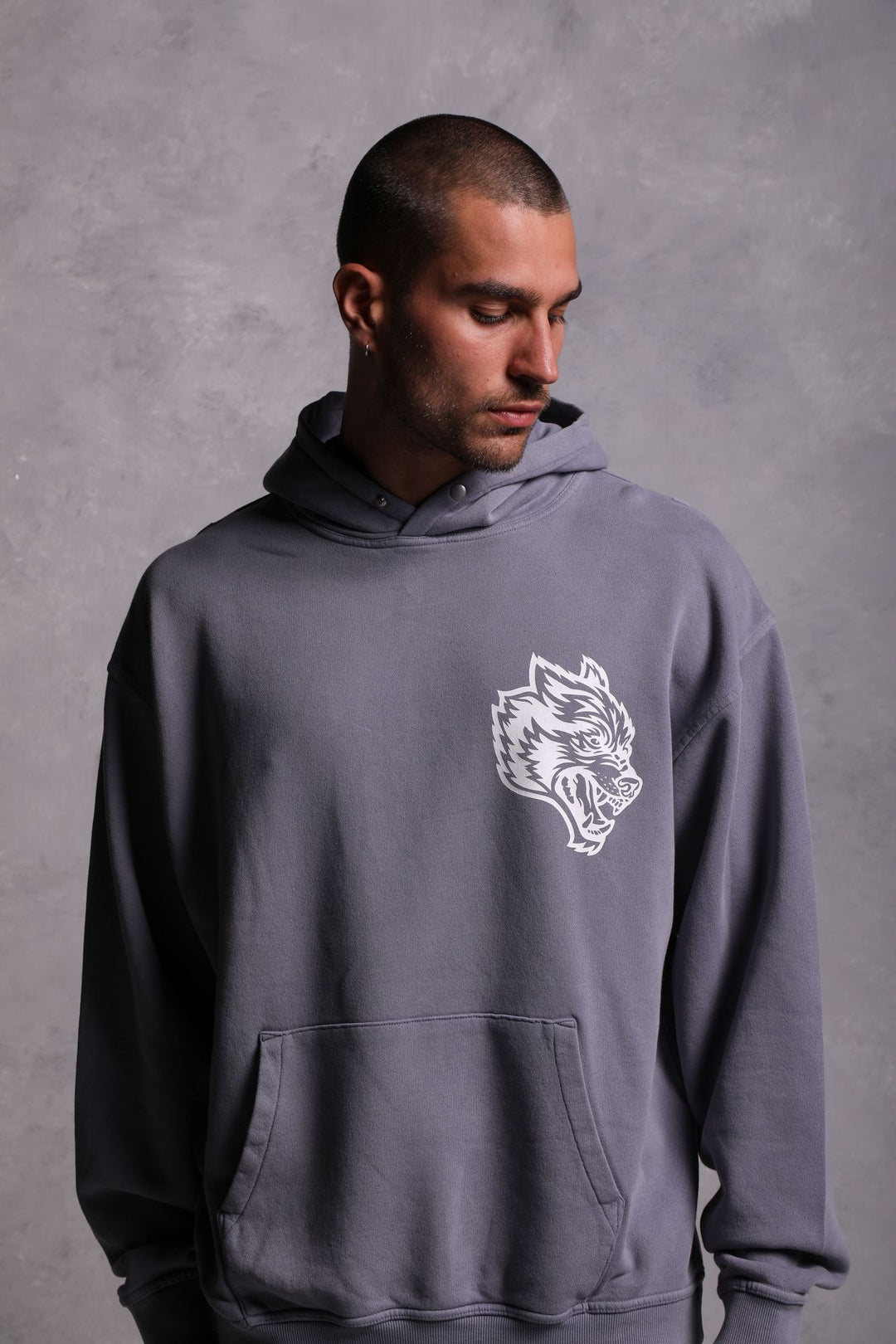 House Of Wolves "Vintage Cornell" Hoodie in Norse Purple