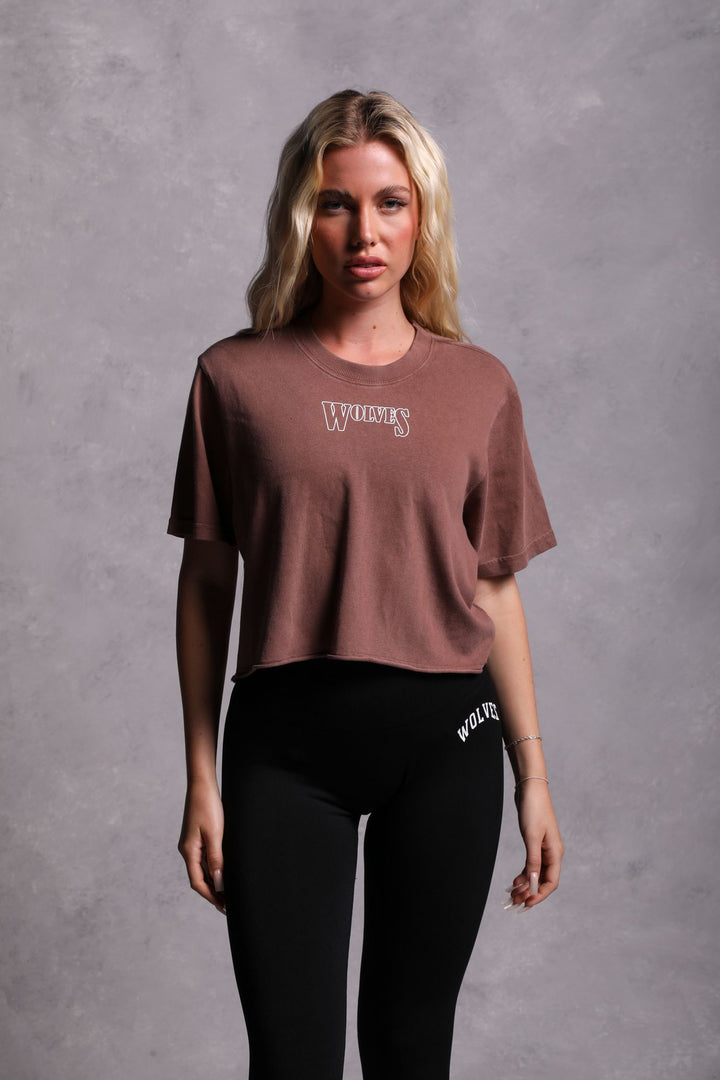 Flames "Premium Vintage" (Cropped) Tee in Norse Brown