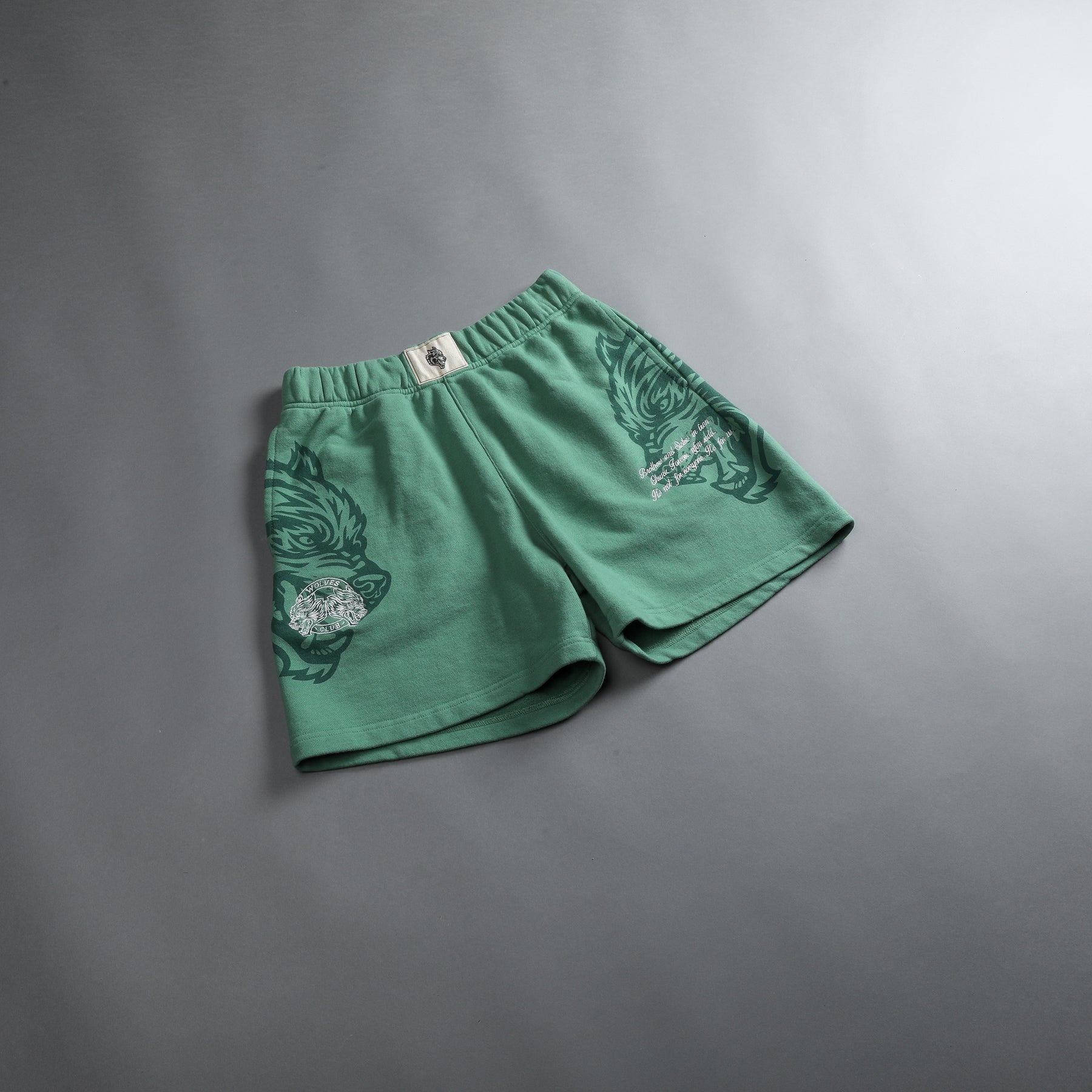 Ohana Forever Patch Liam Sweat Shorts in Lush Green – DarcSport