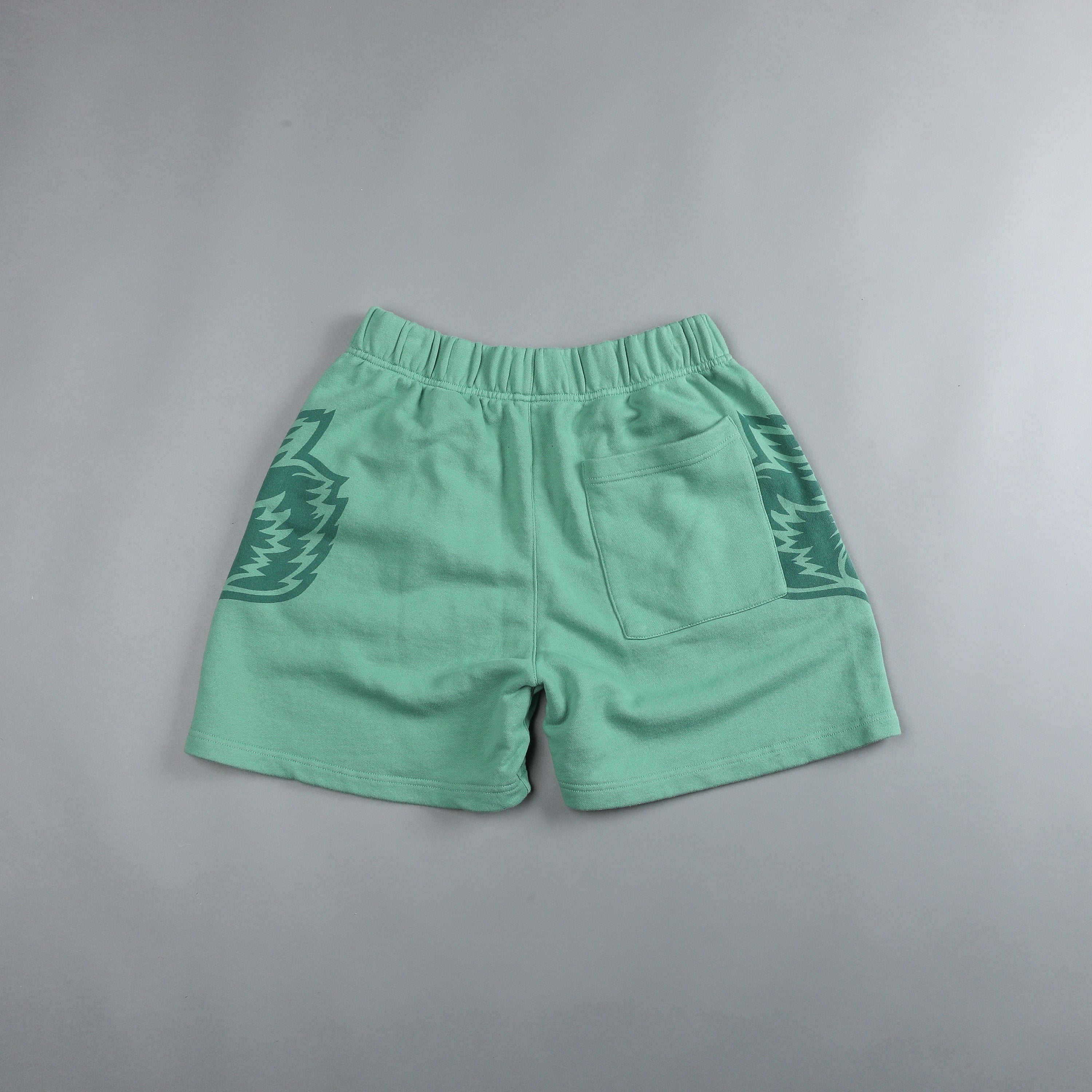 Ohana Forever Patch Liam Sweat Shorts in Lush Green – DarcSport